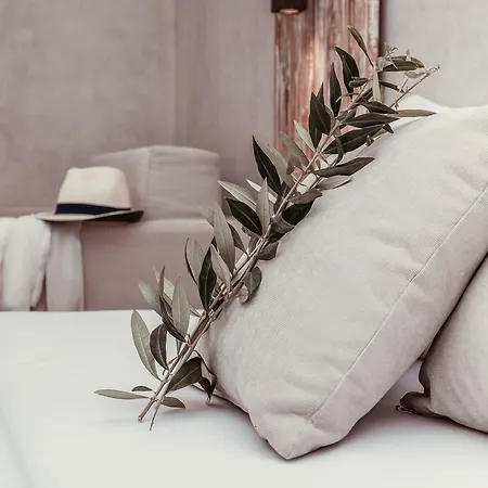 아파트 Olea House