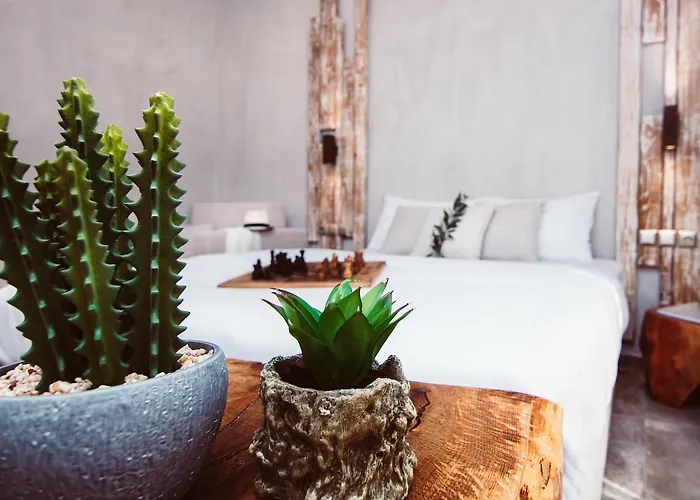 Olea House