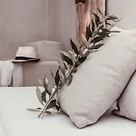 Apartamento Olea House