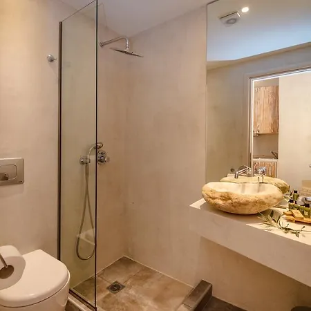 Апартаменты Olea House Thassos Лименария